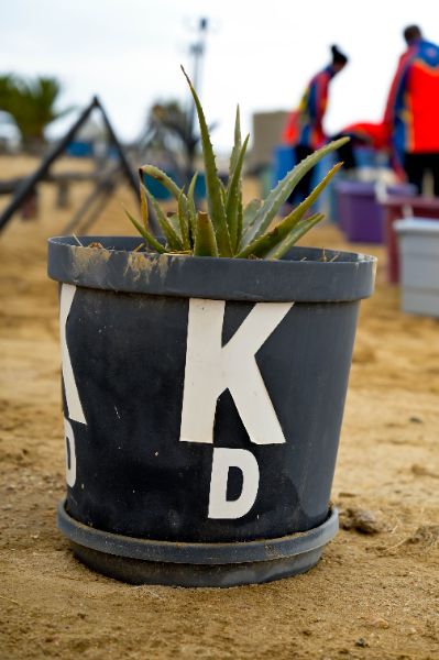 Highlights (29 of 231)_resized.jpg